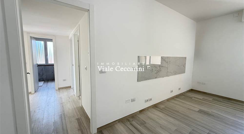 Zona living e disimpegno