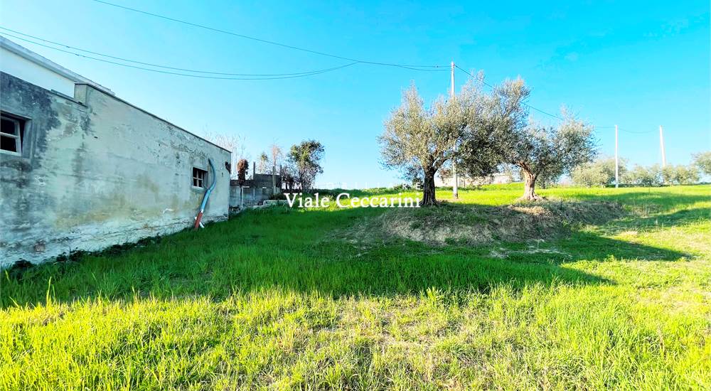 Terreno di proprietà