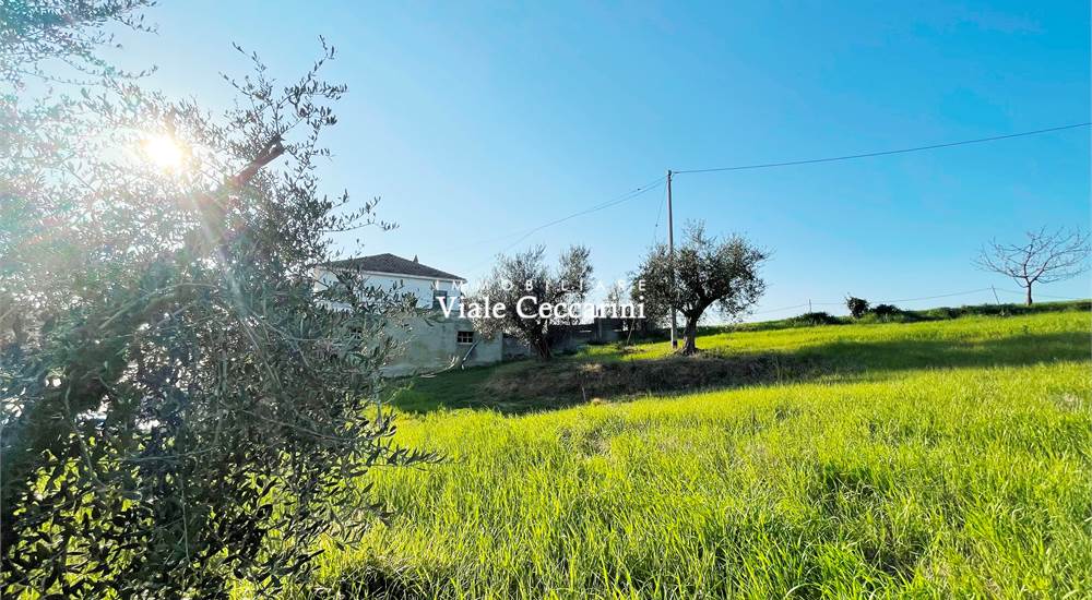 Terreno di proprietà