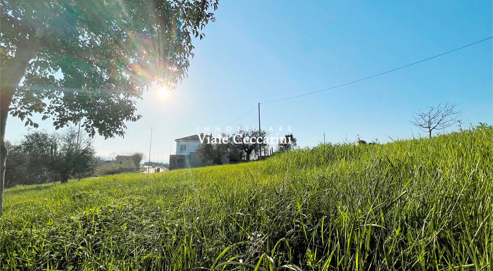Casa con terreno di proprietà