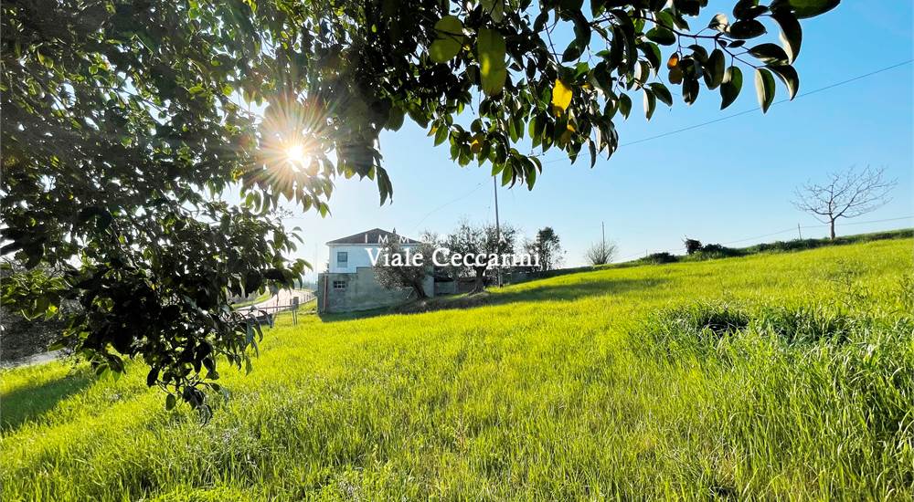 Terreno di proprietà