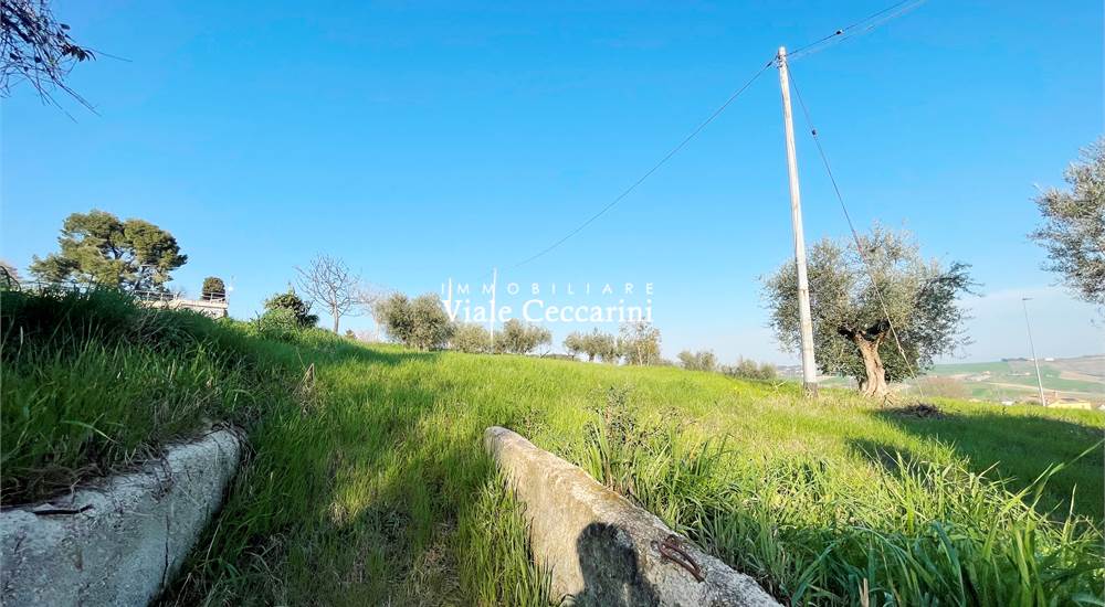 Terreno di proprietà