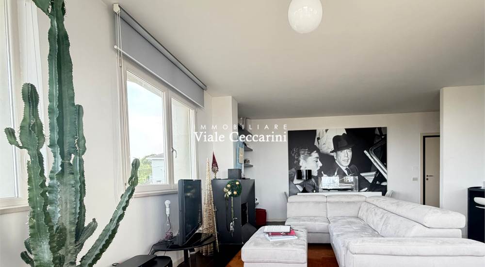 Zona living