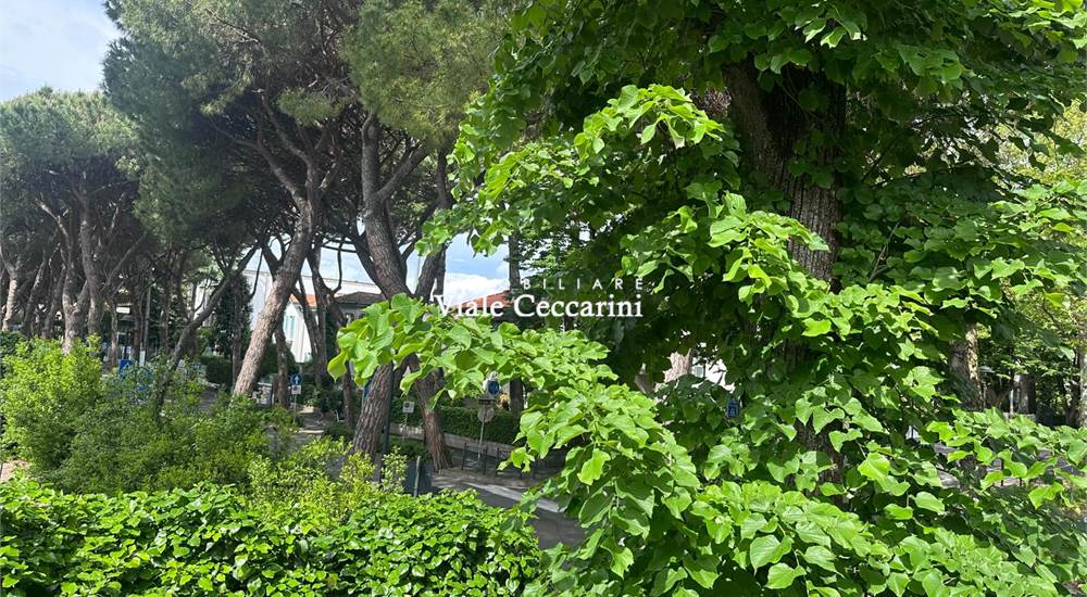 Vista parco condominiale